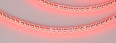 89a7ca84d2d6aaf3bee9ff7b33532397